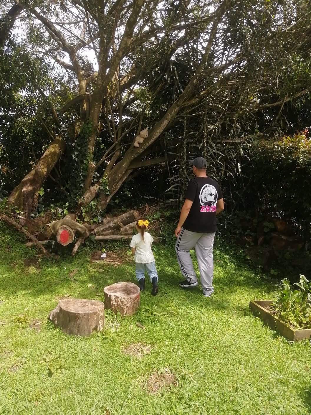 Universidad de los niños